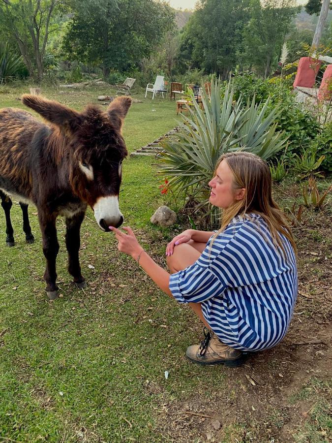 ואלה דה בראבו Rancho Reencuentro Eco Hotel & Cabalgatas מראה חיצוני תמונה